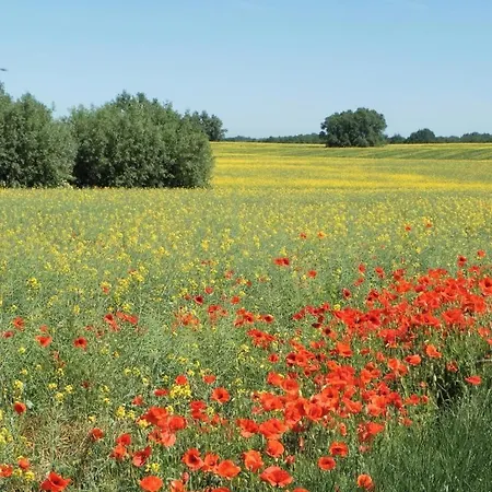 Altes Zollhaus, Fewo- Nr 1 *